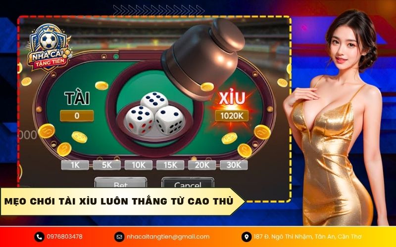 Mẹo chơi tài xỉu